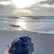 Lil'TipSea on Topsail - Close to the sound and beach! - توبسيل بيتش