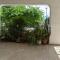 Plateia Home