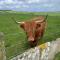 Glengolly Getaways - Thurso