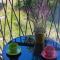 Apartman Ombra