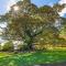 Gardners Ridge Estate
