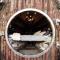 Unique glamping experience near Ely & Cambridge - 伊利 Unique glamping experience near Ely & Cambridge - 伊利