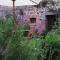 Gite vigneron nature - Montaigut-le-Blanc