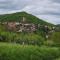 Gite vigneron nature - Montaigut-le-Blanc