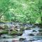 Cork's Creekside By Stony Brook Cabins - Cosby