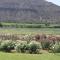 Mountain View Country Guest House - Cradock