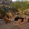 Andrea Zittel's Joshua Tree Home A Z West House - Joshua Tree