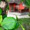 Sambatra Beach Lodge