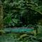 Cerro Tusa Springs