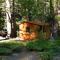 Wawona Glade