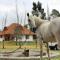 Casa Ecológica Al Pie Del Volcán