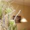 Hotel Waldblick Deppe Hotel Waldblick Deppe