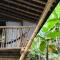 Finca La Selvita Chocolate experience
