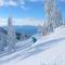 Alpine Serenity - Incline Village