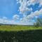 Guest House Green Field