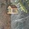 Holiday House Kaja
