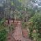Aangan by Gokarma Living