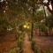 Aangan by Gokarma Living