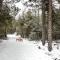 The Carriage House - Tranquility With A View - Letite