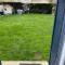 Studio cosy avec jardin Chatou