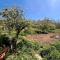 Traditional house with fresh vegetables garden