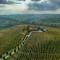 Tenuta La Meirana Gavi