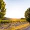 Tenuta La Meirana Gavi