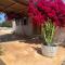 Casa Rustick - Sant Francesc Xavier