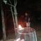 Bushbuck Rest