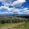 Casa di Laura in Chianti - large & charming house (host 7 people) - Moncioni