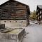 CASA LUMNEZIA - Panoramic Ecodesign Apartment Obersaxen - Val Lumnezia I Vella - Vignogn I near Laax Flims I 5 Swiss stars rating - Vella