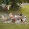 Lakeview Cottage in Mooloolah Valley - Mooloolah