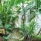 Jungle Hut near Beach - Nature Lovers