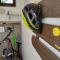 Cyclo Apartment Pinki