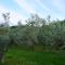 Casa Capodistria with sea view