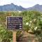 Vredehoek Guest Farm - Breërivier
