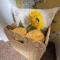 Pass the Keys Beautiful House With Stunning Views Kirkcudbright - Kirkcudbright