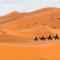 Merzouga Camel Ride & Overnight Desert Camp - 梅尔祖卡