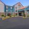 Comfort Suites near I-80 and I-94 - 兰辛