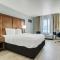 Comfort Suites near I-80 and I-94 - 兰辛