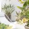 Ático con terraza La Venencia - Sanlúcar de Barrameda