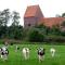Ferienhaus Ronny