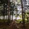 Waterfront Sebec Lake Home with Yard and Fire Pit