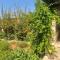 Ivi's House Giolou