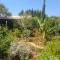 Ivi's House Giolou