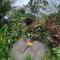 Casitas Del Rio Riverfront Nature Lodge - Uvita