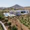 Bracket House Paros