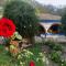 Finca San Pedro -Alojamiento Campestre y Reserva Natural-