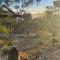 Romantic getaway SummerHill Tiny