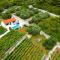 Stone house in vineyard